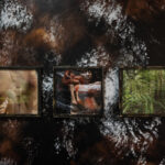 EXPO Rien ne reste figé 112025©JessicaLaguerre-5582